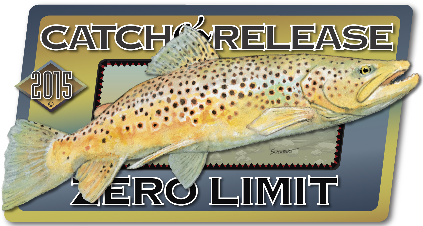 Brown Trout Catch & Release Decal Fly Fishing Sticker 